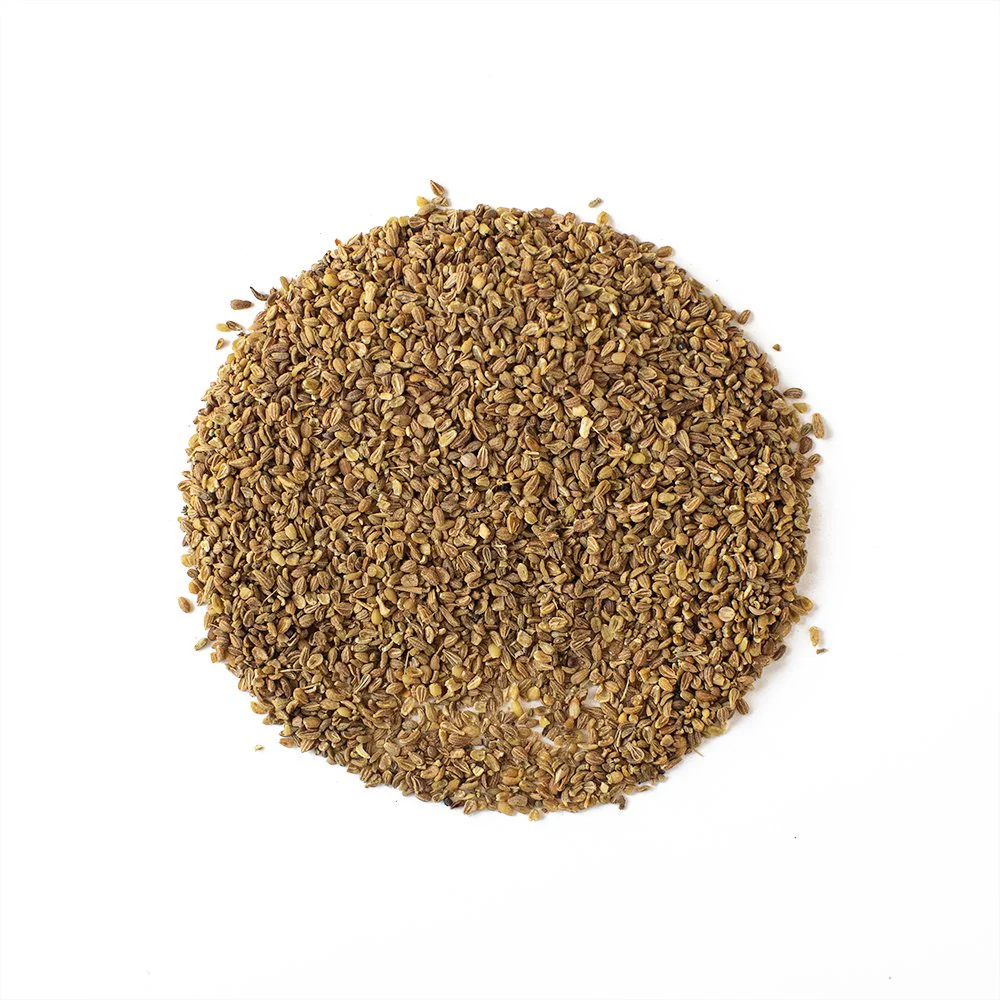 Organic Anise Seed - Botanical Tea Bags - Image 2