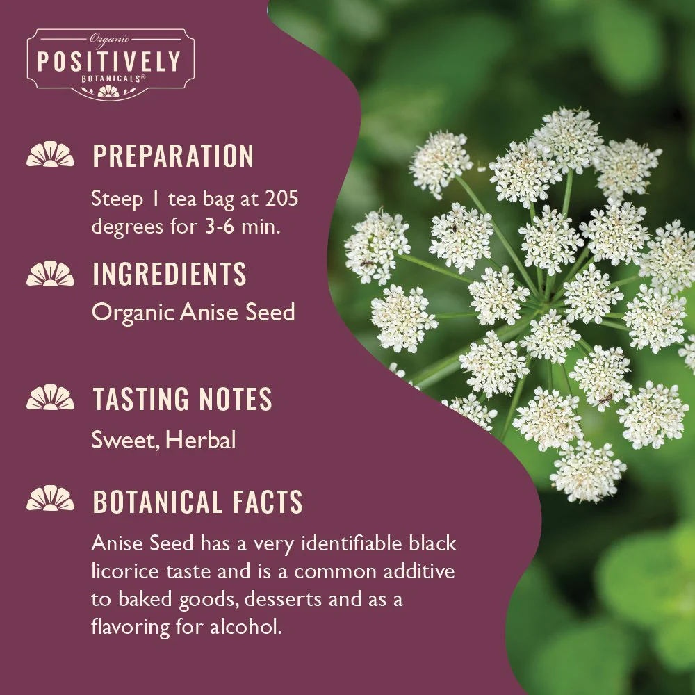 Organic Anise Seed - Botanical Tea Bags - Image 3