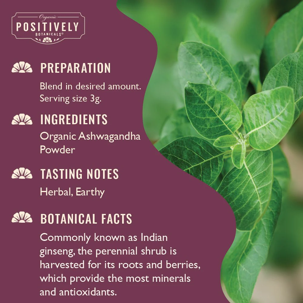 Organic Ashwagandha - Botanical Tea Bags - Image 3