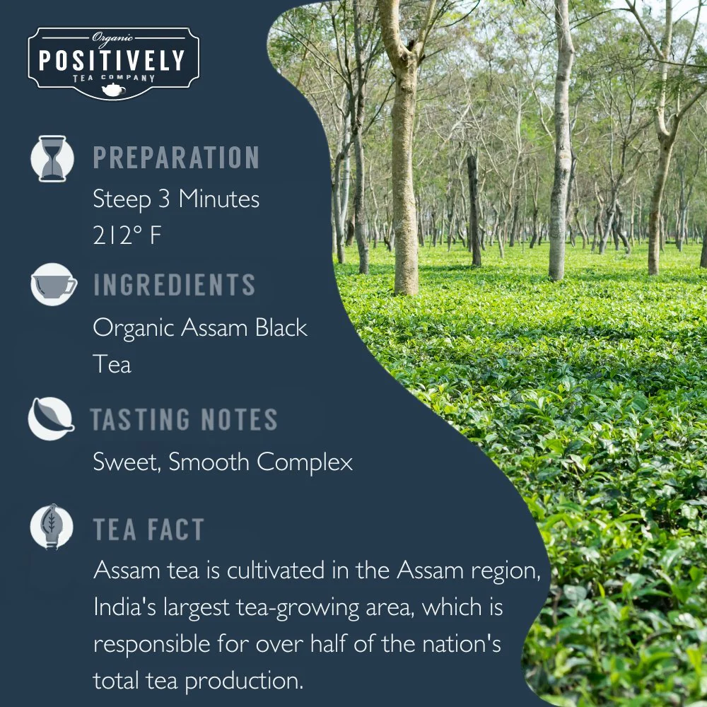 Organic Assam - Tea Bags - Image 3