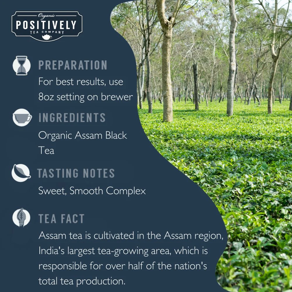 Organic Assam - Classic Tea Pods - Image 5