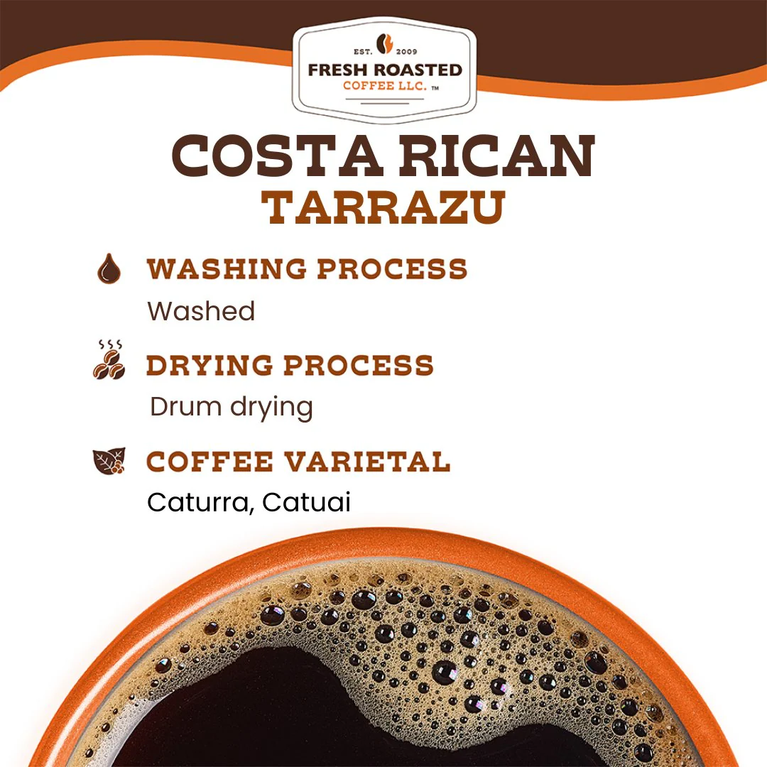 Costa Rican Tarrazu - Roasted Coffee - Image 7
