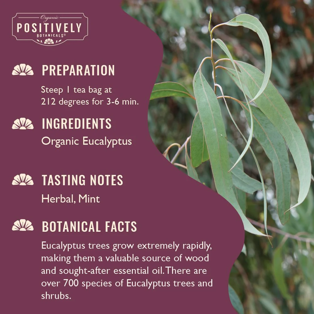 Organic Eucalyptus - Botanical Tea Bags - Image 3