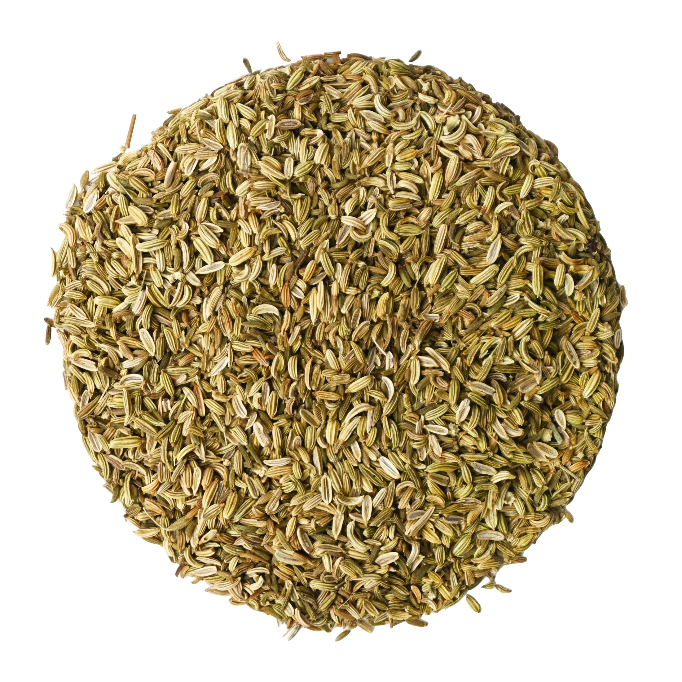 Organic Fennel Seed - Botanical Tea Bags - Image 2