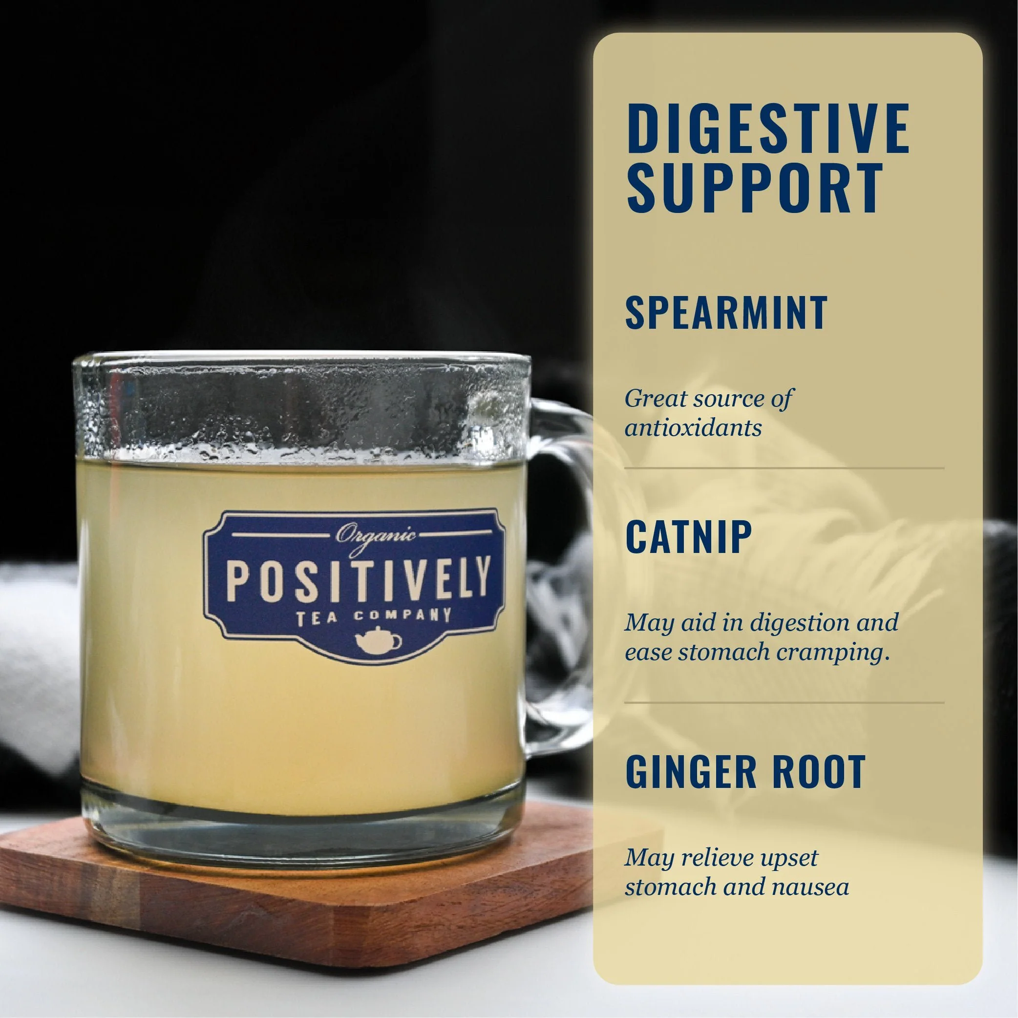 Digestive Support Tea Bag Bundle - Tea, Botanicals and Mug - Image 2