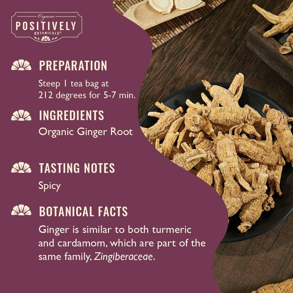 Organic Ginger Root - Botanical Tea Bags - Image 3