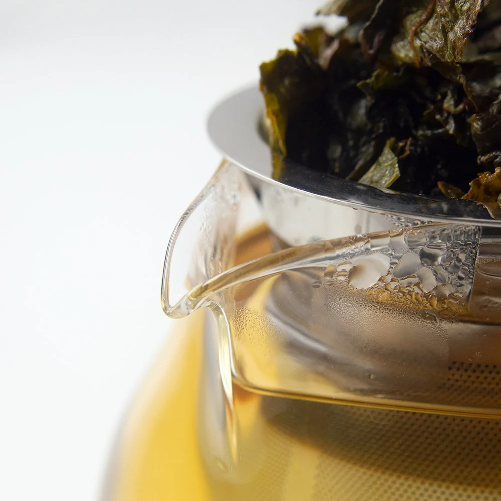 Hario® Tea Pitcher - Image 4