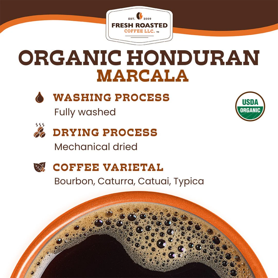 Organic Honduran Marcala - Classic Coffee Pods - Image 4