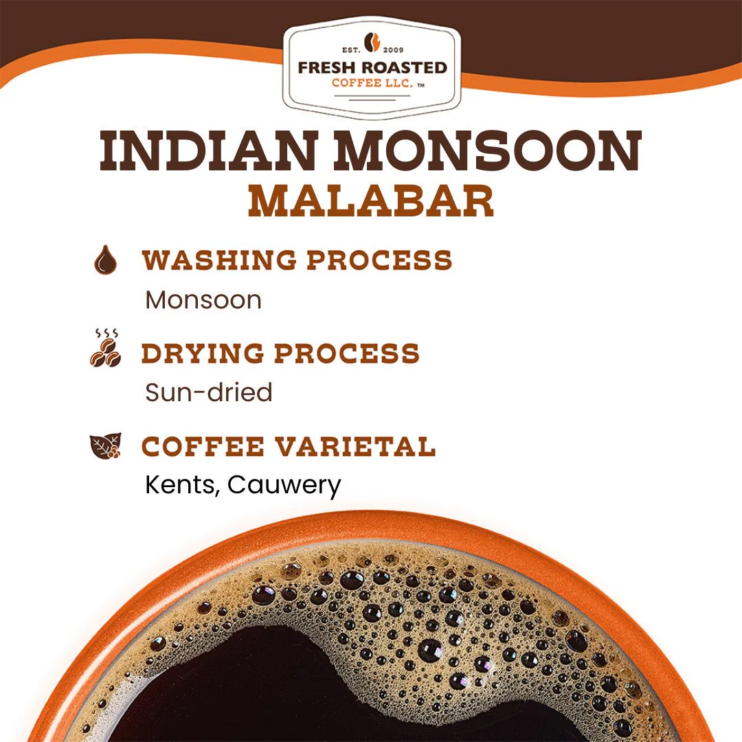 Indian Monsoon Malabar - Roasted Coffee - Image 5