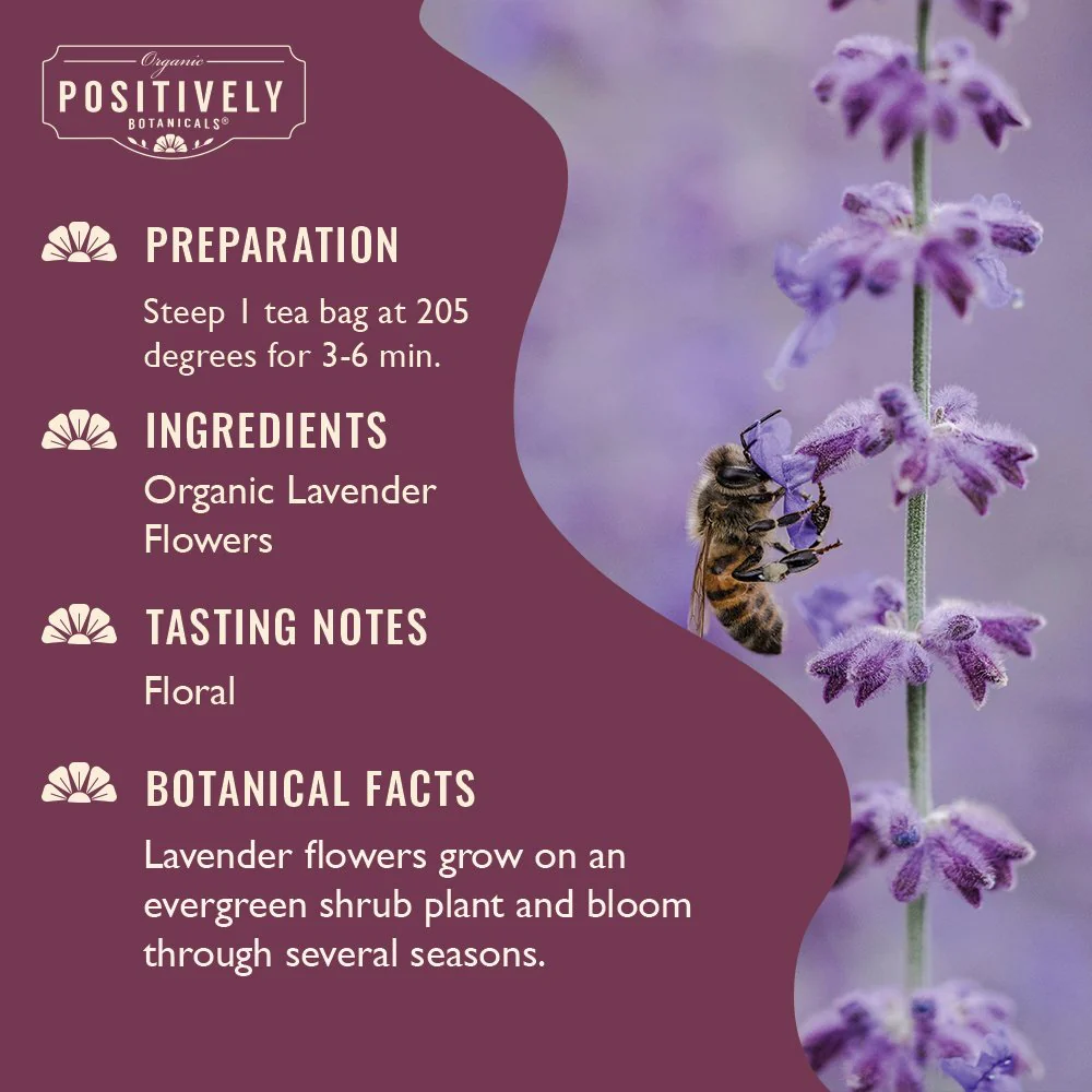 Organic Lavender Flowers - Botanical Tea Bags - Image 3