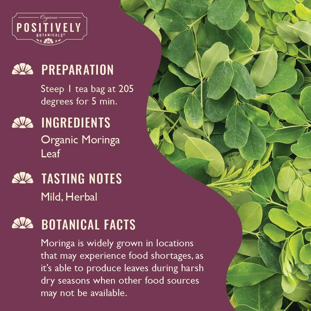 Organic Moringa Leaf - Botanical Tea Bags - Image 3