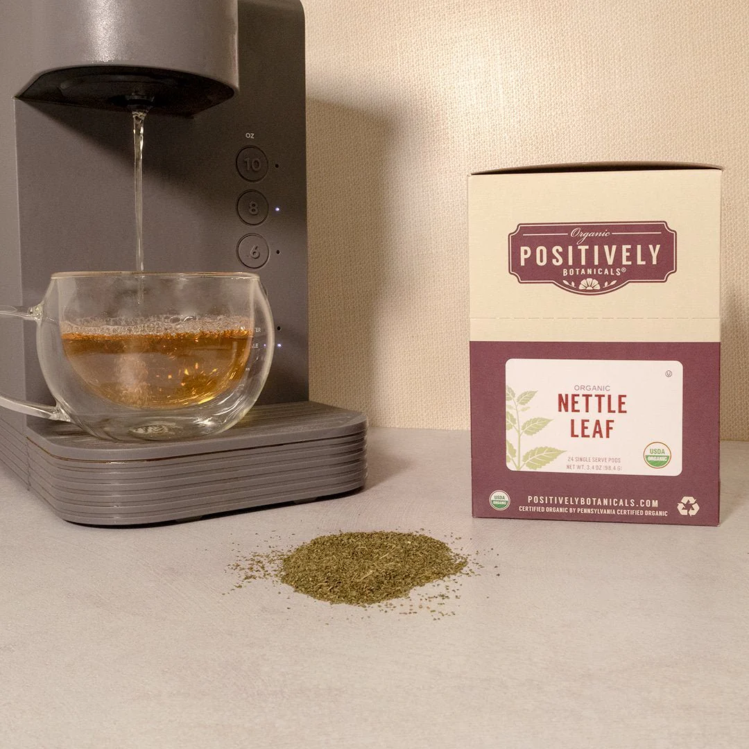 Organic Nettle Leaf - Botanical Tea Pods - Image 4