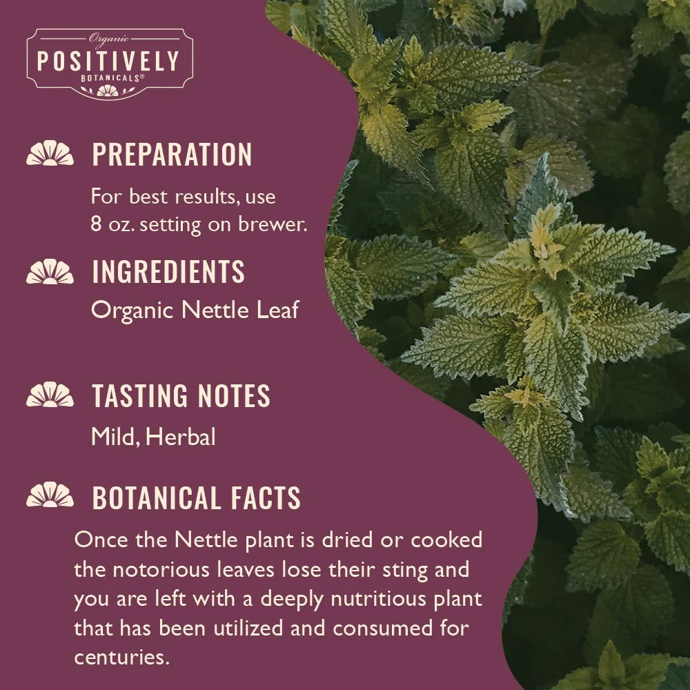 Organic Nettle Leaf - Botanical Tea Pods - Image 5