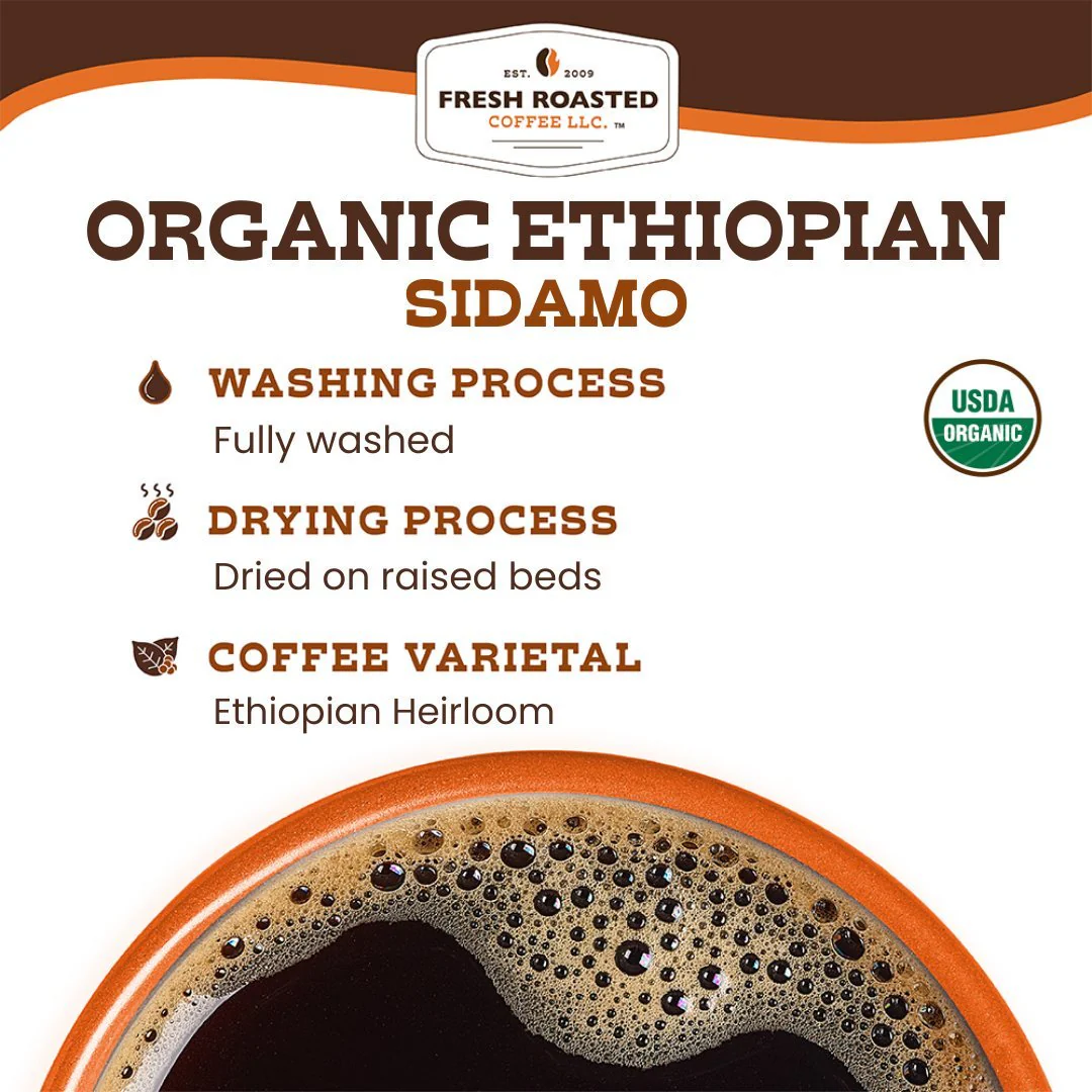 Organic Ethiopian Sidamo - Espresso Capsules - Image 6