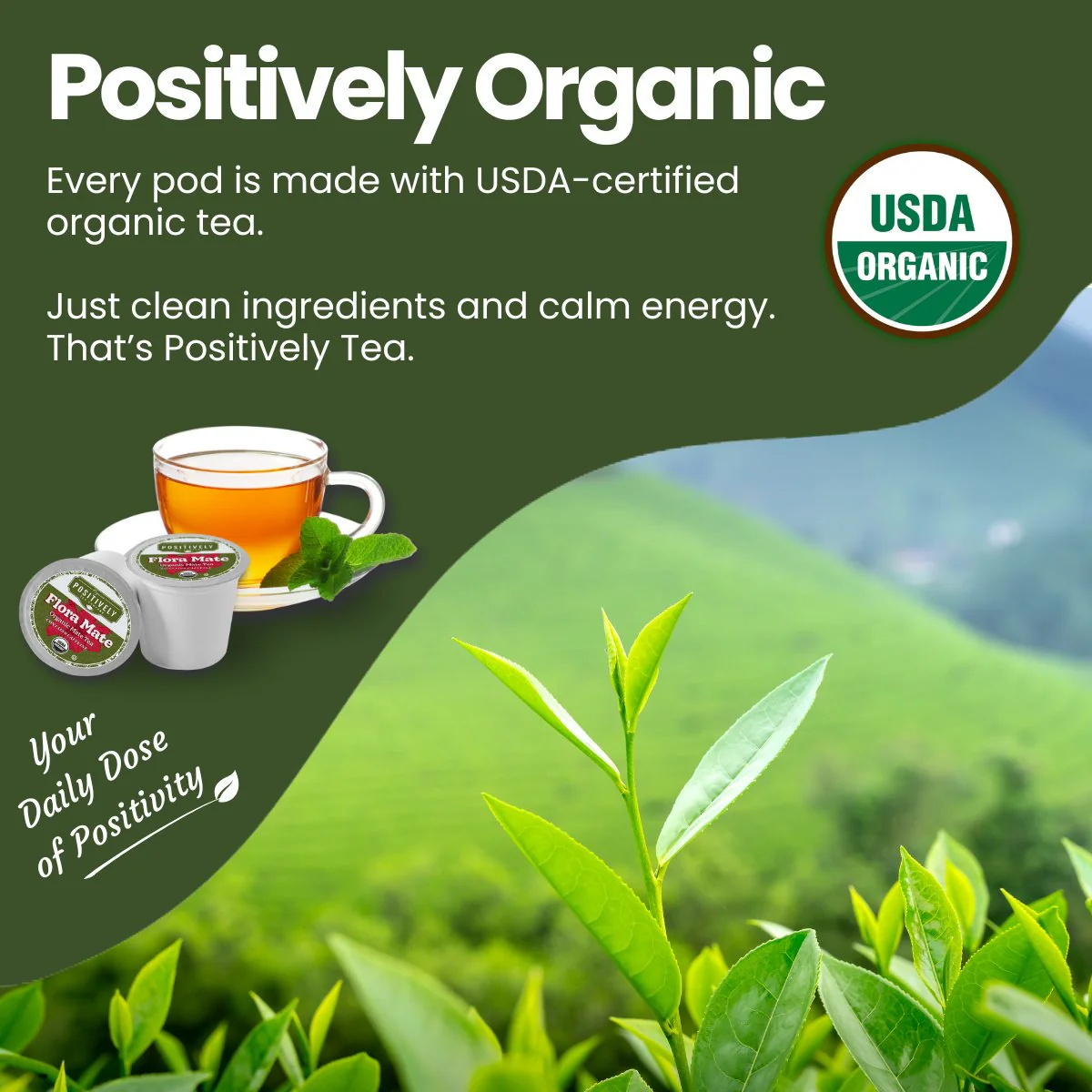 Organic Flora Mate - Classic Tea Pods - Image 4