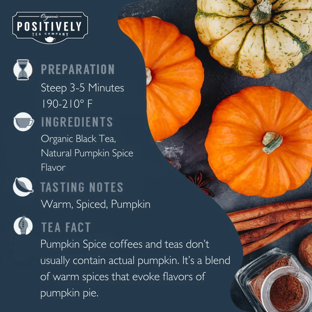 Organic Pumpkin Spice - Tea Bags - Image 3