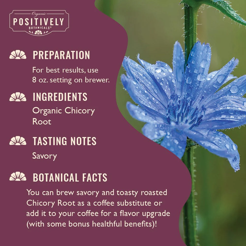 Organic Chicory Root - Botanical Tea Pods - Image 3