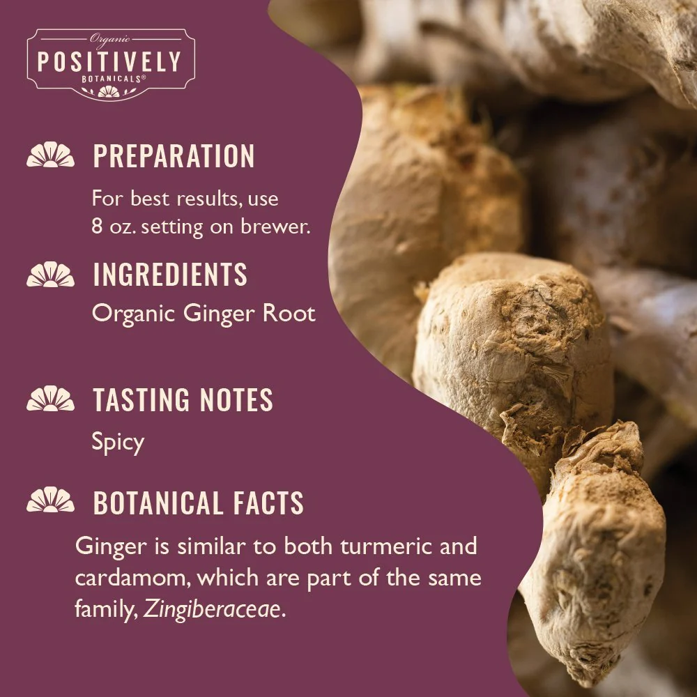 Organic Ginger Root - Botanical Tea Pods - Image 3