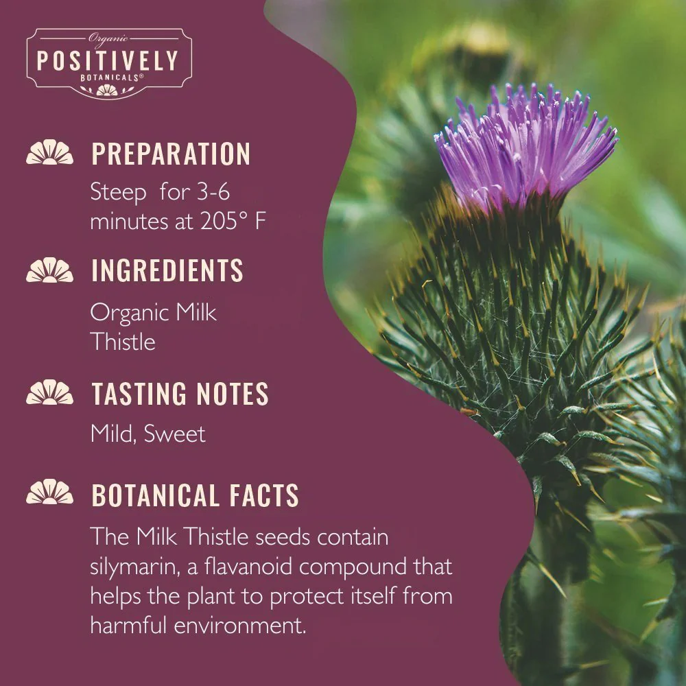 Organic Milk Thistle - Loose Leaf Botanical - Image 2