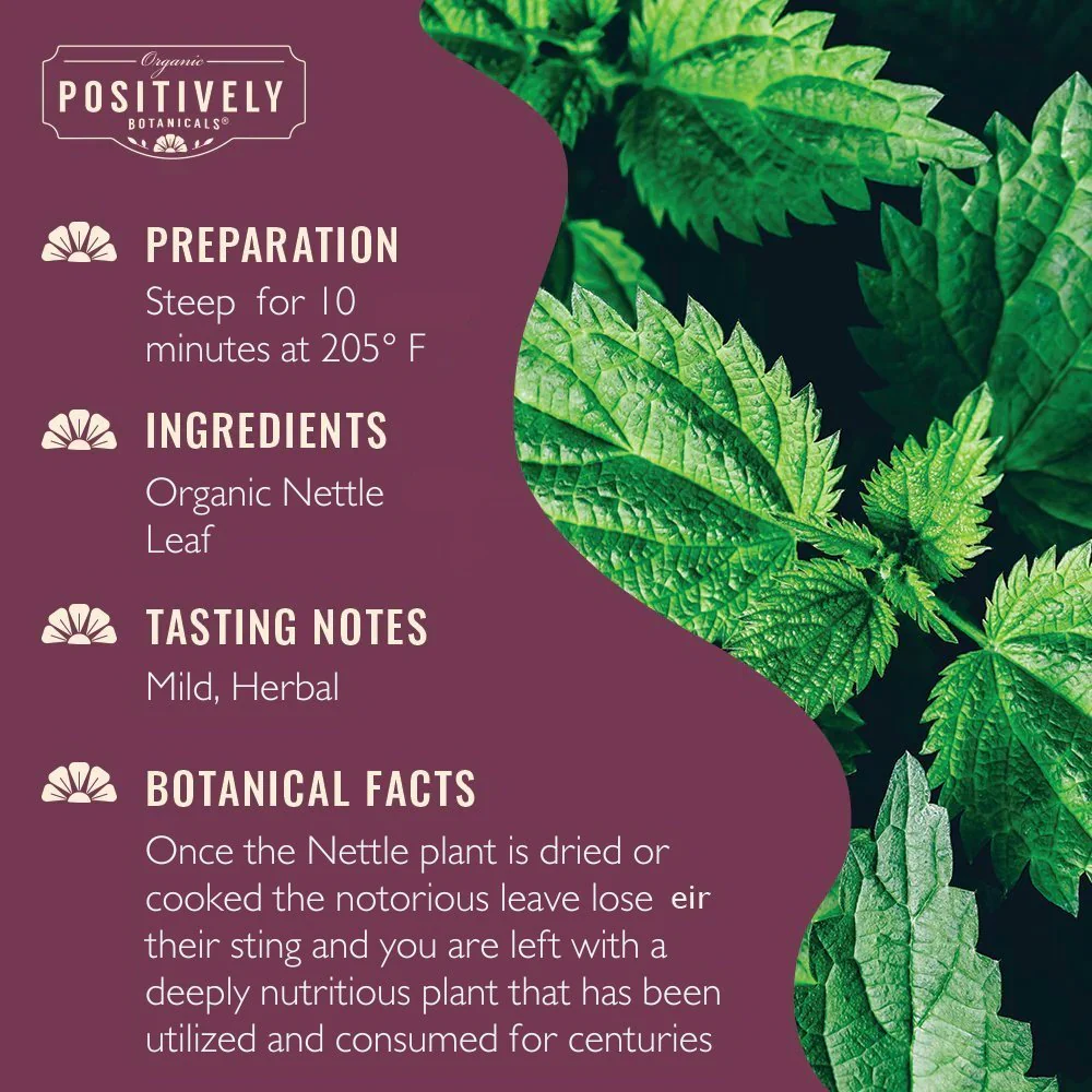 Organic Nettle Leaf - Loose Leaf Botanical - Image 2