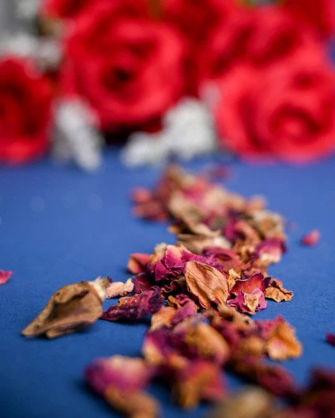 Organic Rosebuds and Petals - Loose Leaf Botanical - Image 4