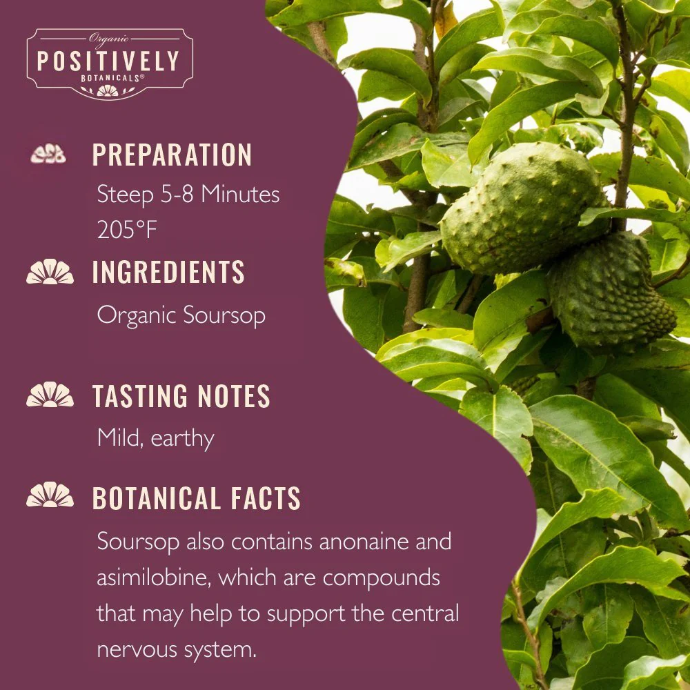 Organic Soursop - Loose Leaf Botanical - Image 5