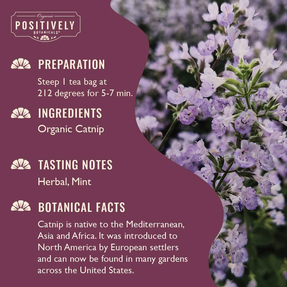 Organic Catnip - Botanical Tea Bags - Image 3