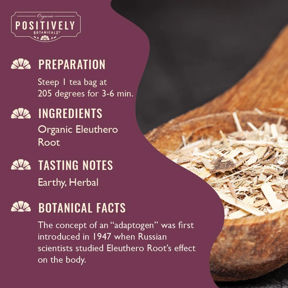 Organic Eleuthero Root - Botanical Tea Bags - Image 3