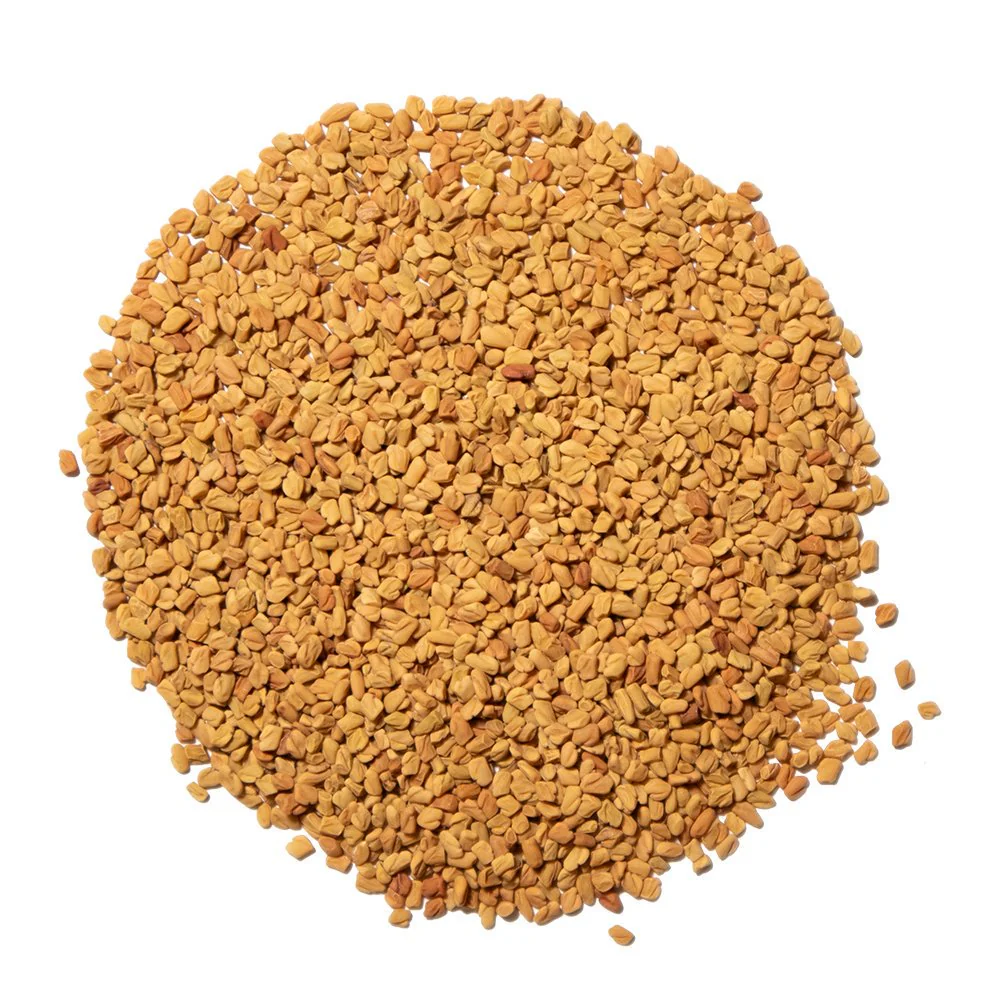 Organic Fenugreek Seed - Botanical Tea Bags - Image 2