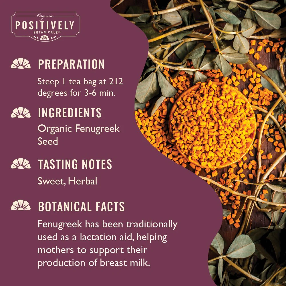 Organic Fenugreek Seed - Botanical Tea Bags - Image 3
