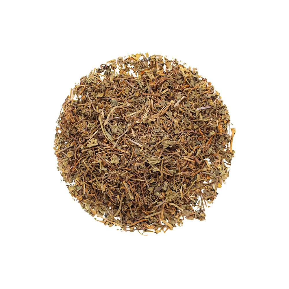 Organic Gotu Kola - Botanical Tea Bags - Image 2
