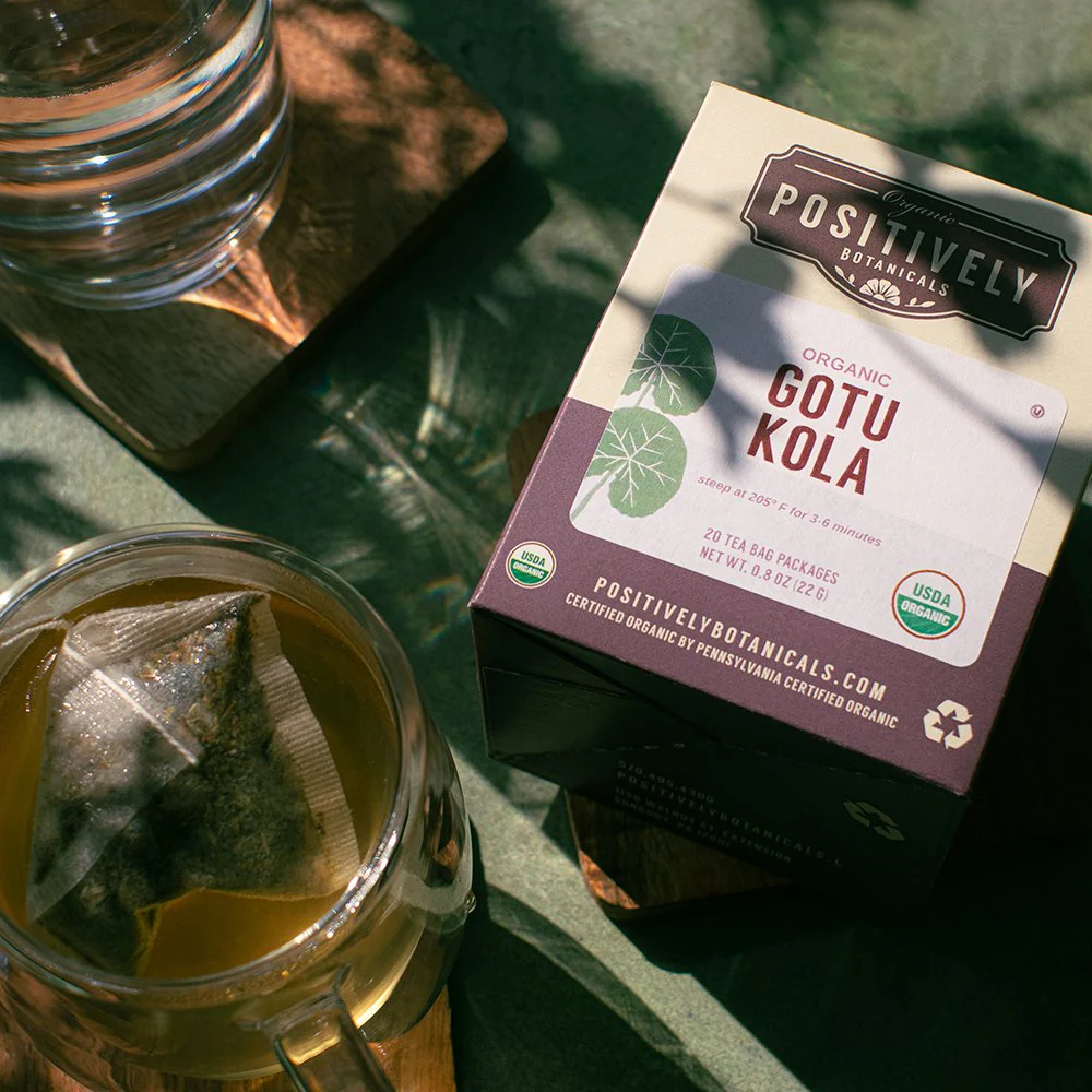 Organic Gotu Kola - Botanical Tea Bags - Image 4