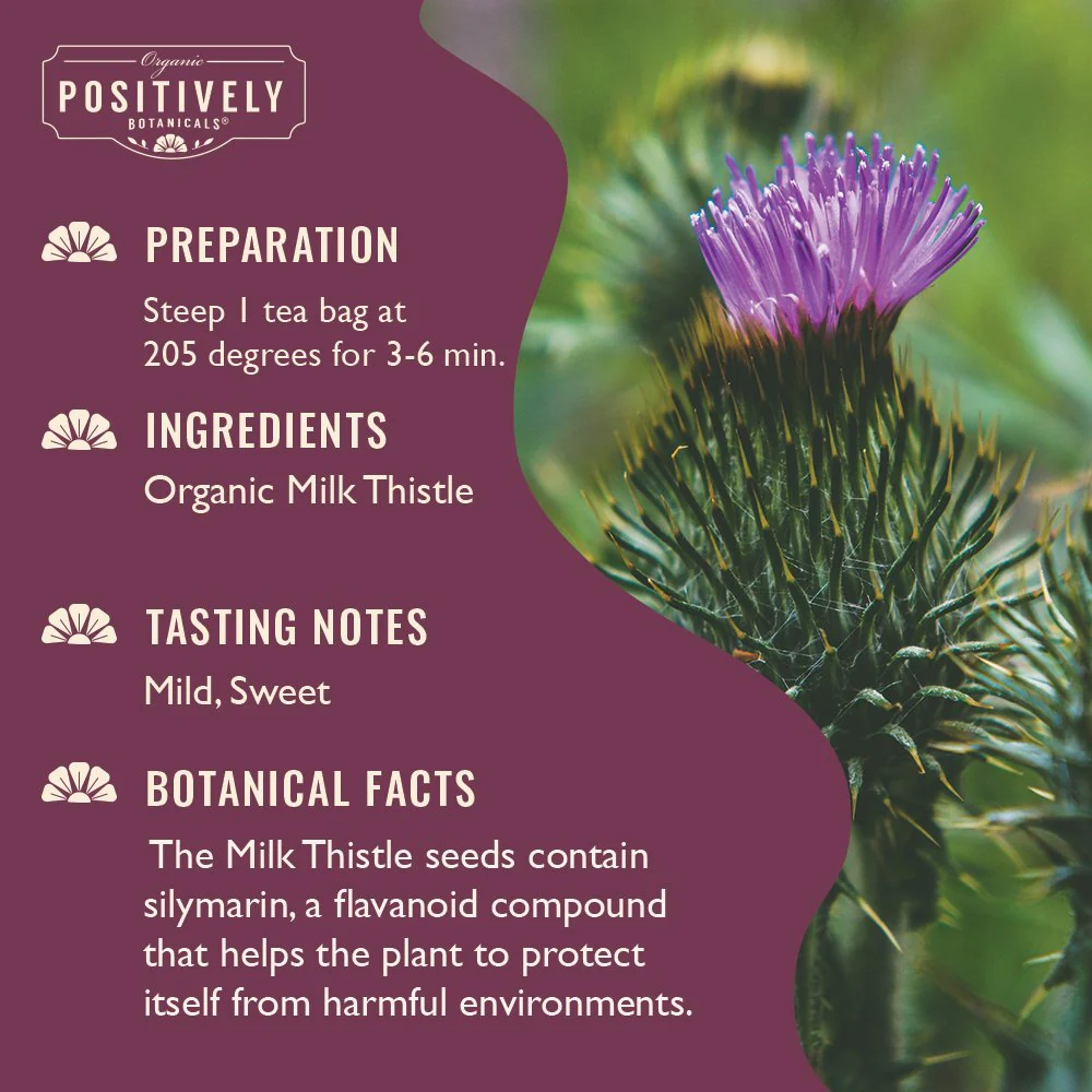 Organic Milk Thistle - Botanical Tea Bags - Image 3