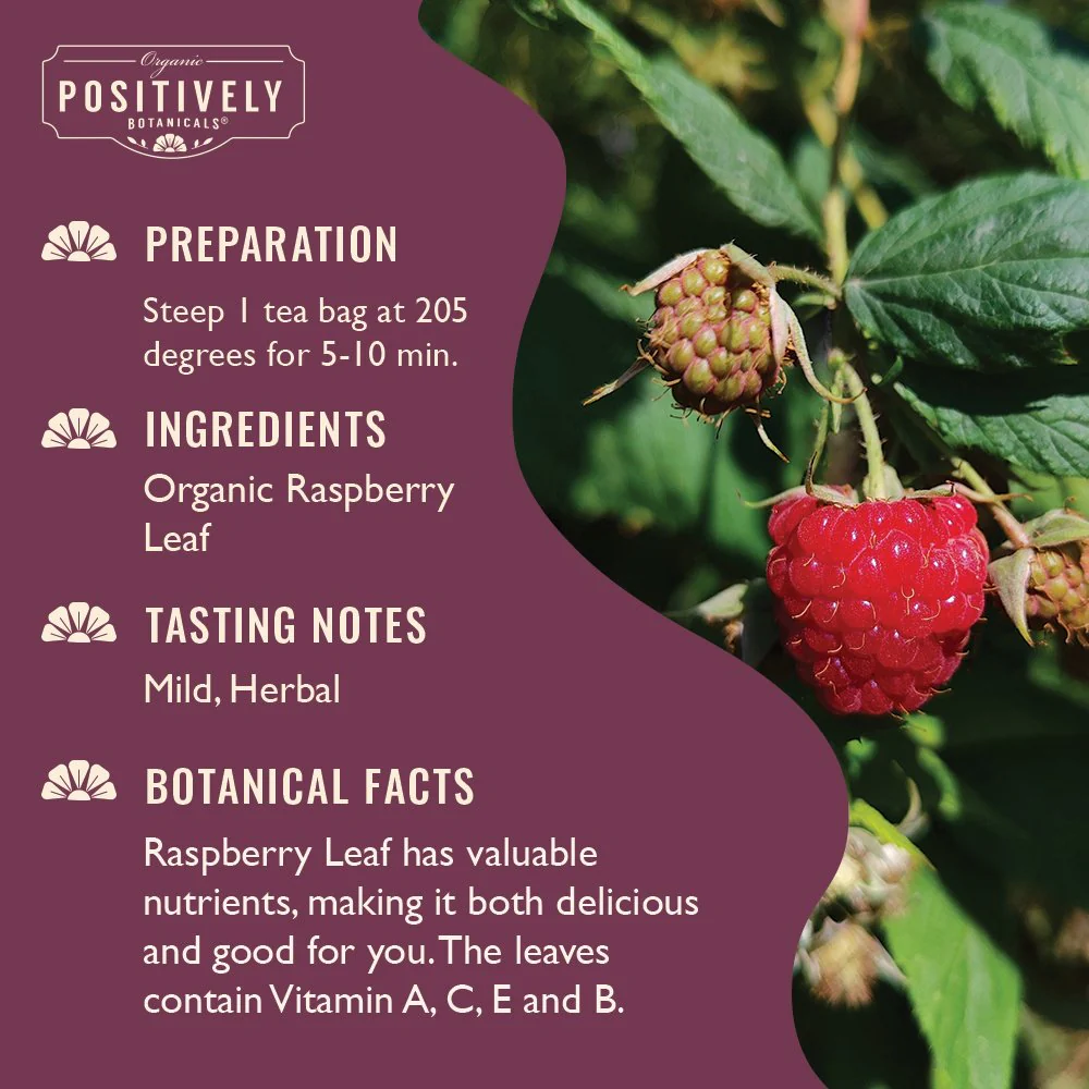 Organic Raspberry Leaf - Botanical Tea Bags - Image 3