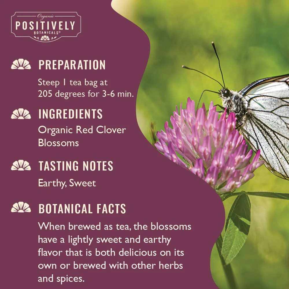 Organic Red Clover Blossoms - Botanical Tea Bags - Image 3