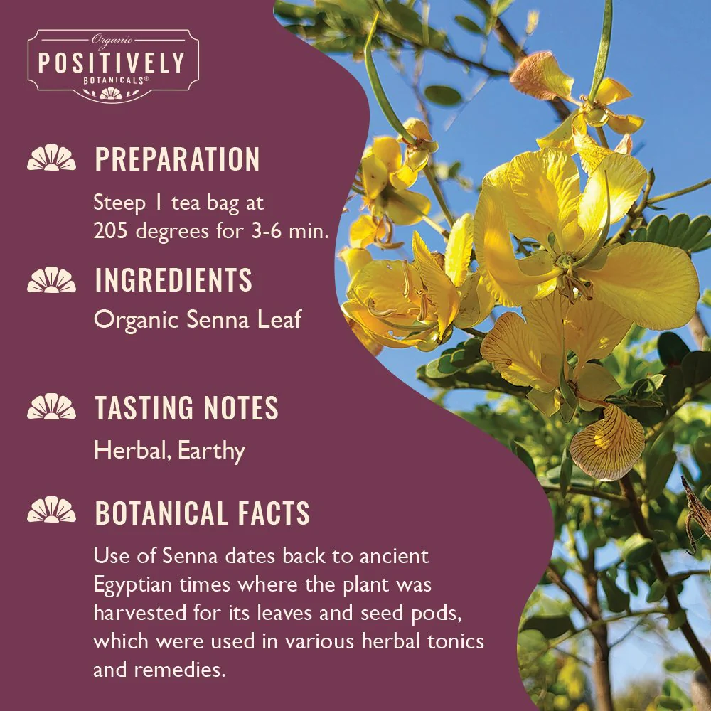 Organic Senna Leaf - Botanical Tea Bags - Image 3