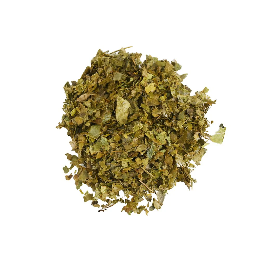 Organic Soursop - Botanical Tea Bags - Image 3