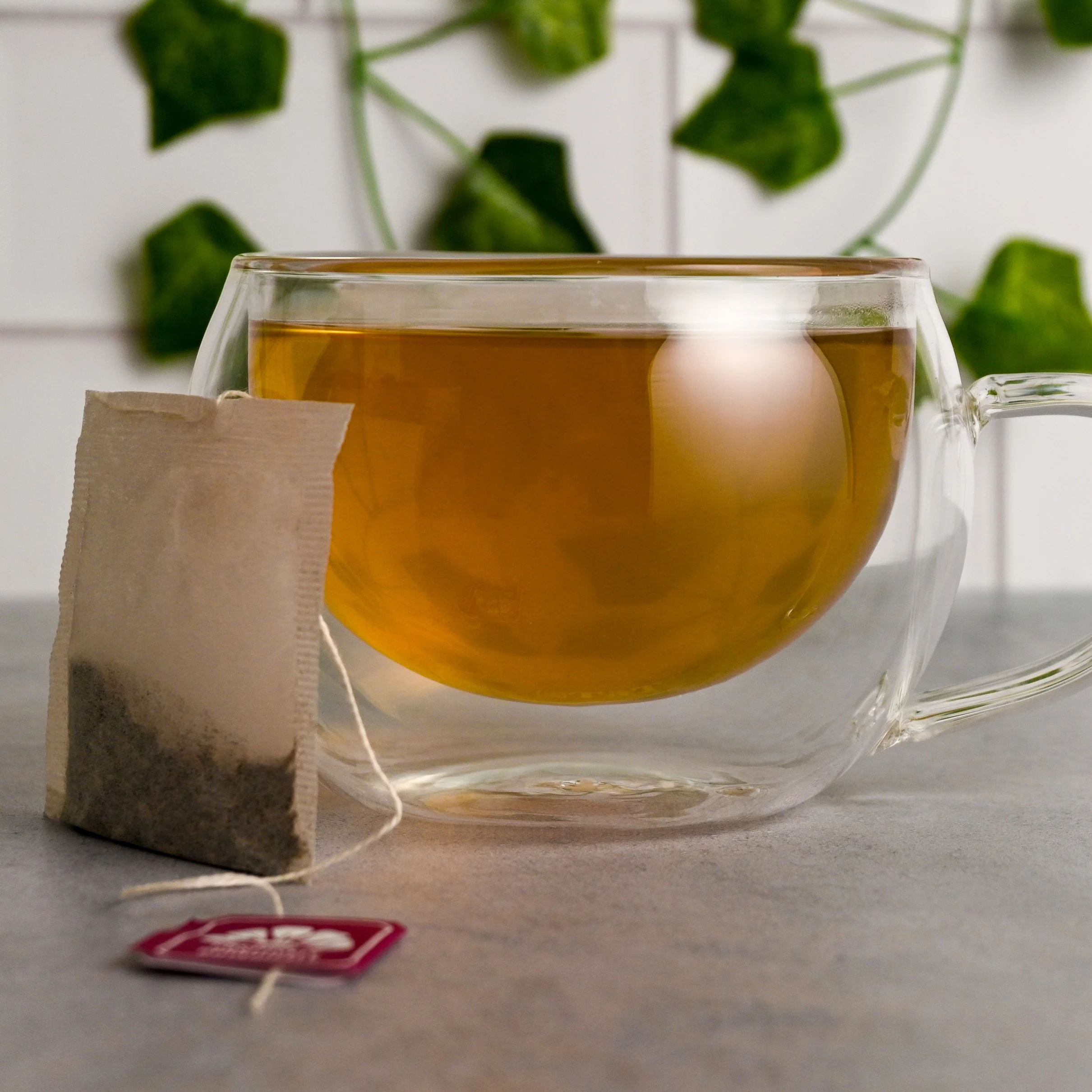Organic Soursop - Botanical Tea Bags - Image 5