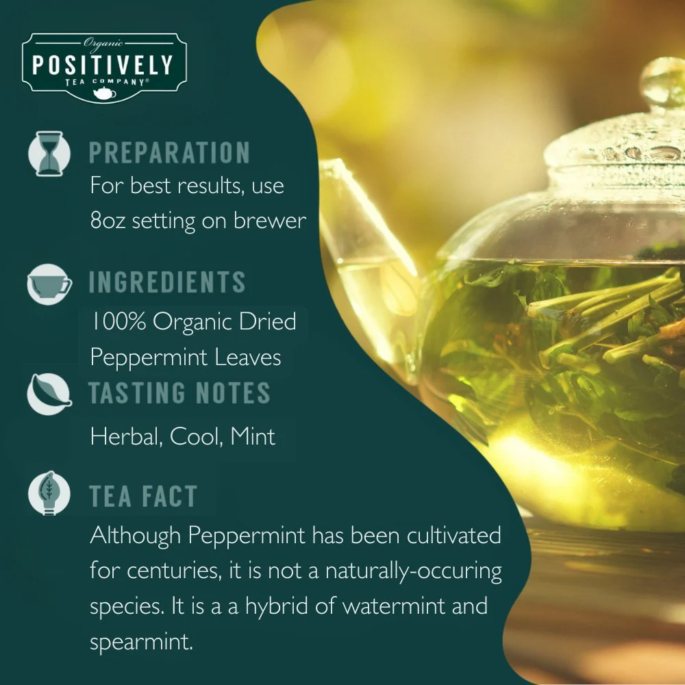 Organic Peppermint Leaf Herbal - Classic Tea Pods - Image 3