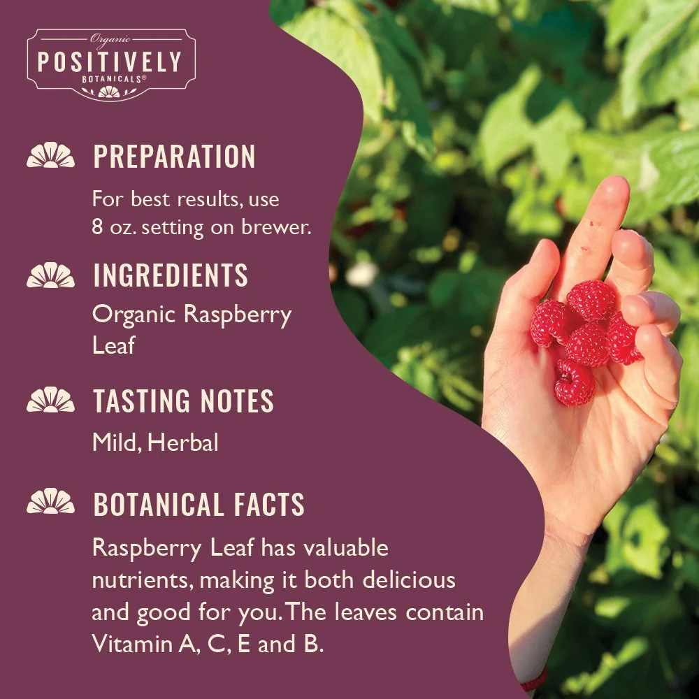 Organic Raspberry Leaf - Botanical Tea Pods - Image 3