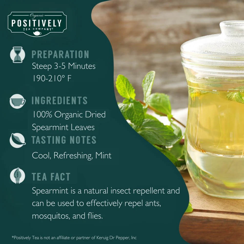 Organic Spearmint Leaf Herbal - Tea Bags - Image 3