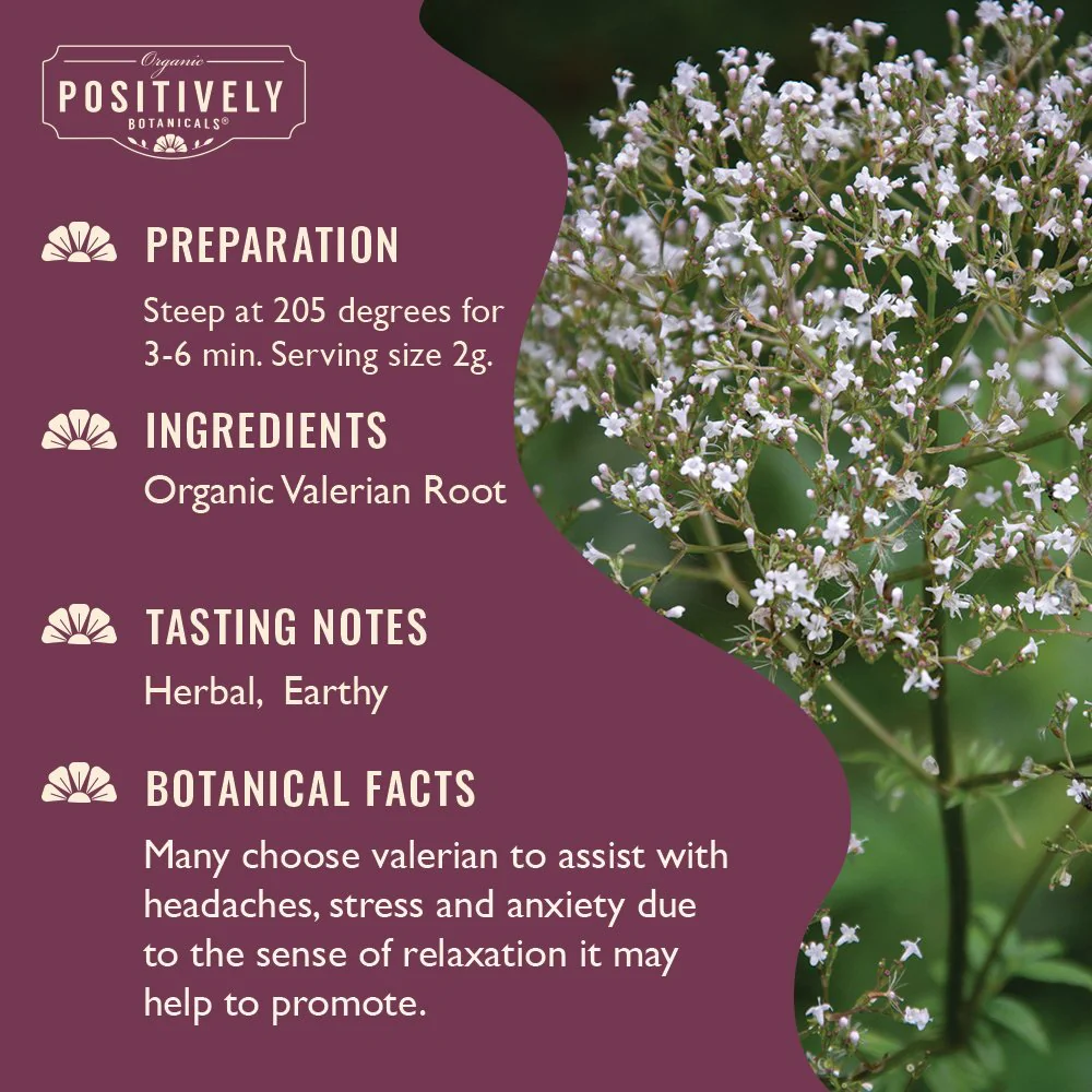 Organic Valerian Root - Botanical Tea Bags - Image 3